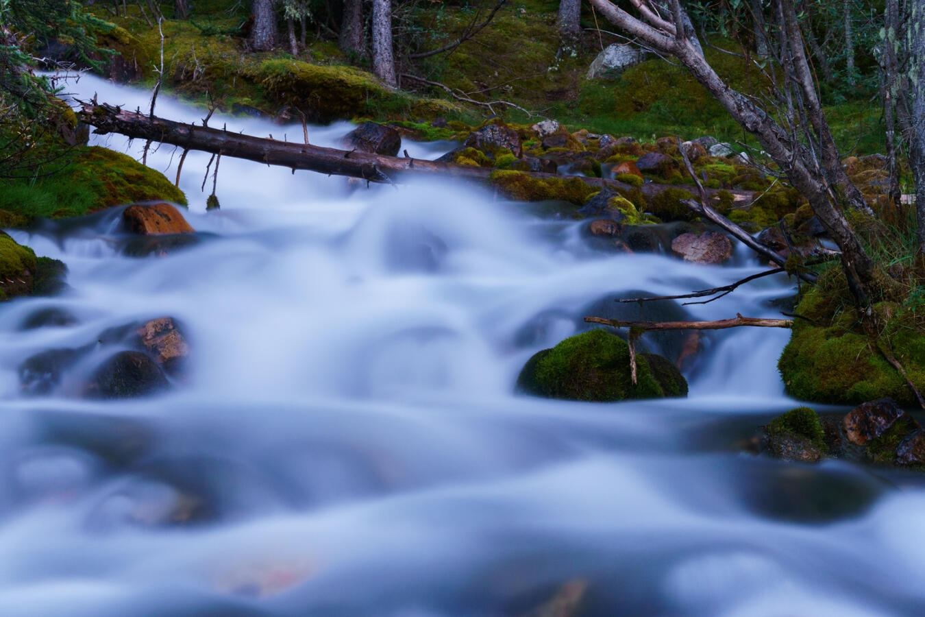Nighttime long exposure of a creek in the Rocky Mountains.