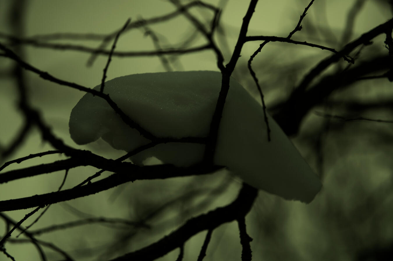 Exhibit 1. It was left there unassuming, but it was left without a knowledge of the bloom.