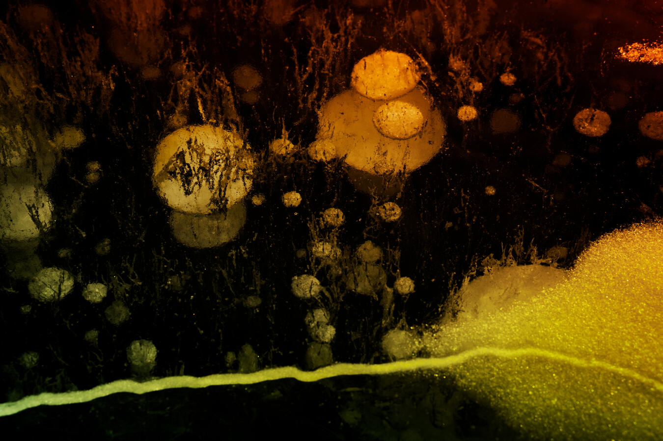 Exhibit 3. The cracks in the ice only allow the bloom to spread, and beneath the surface, take on a sinister form.