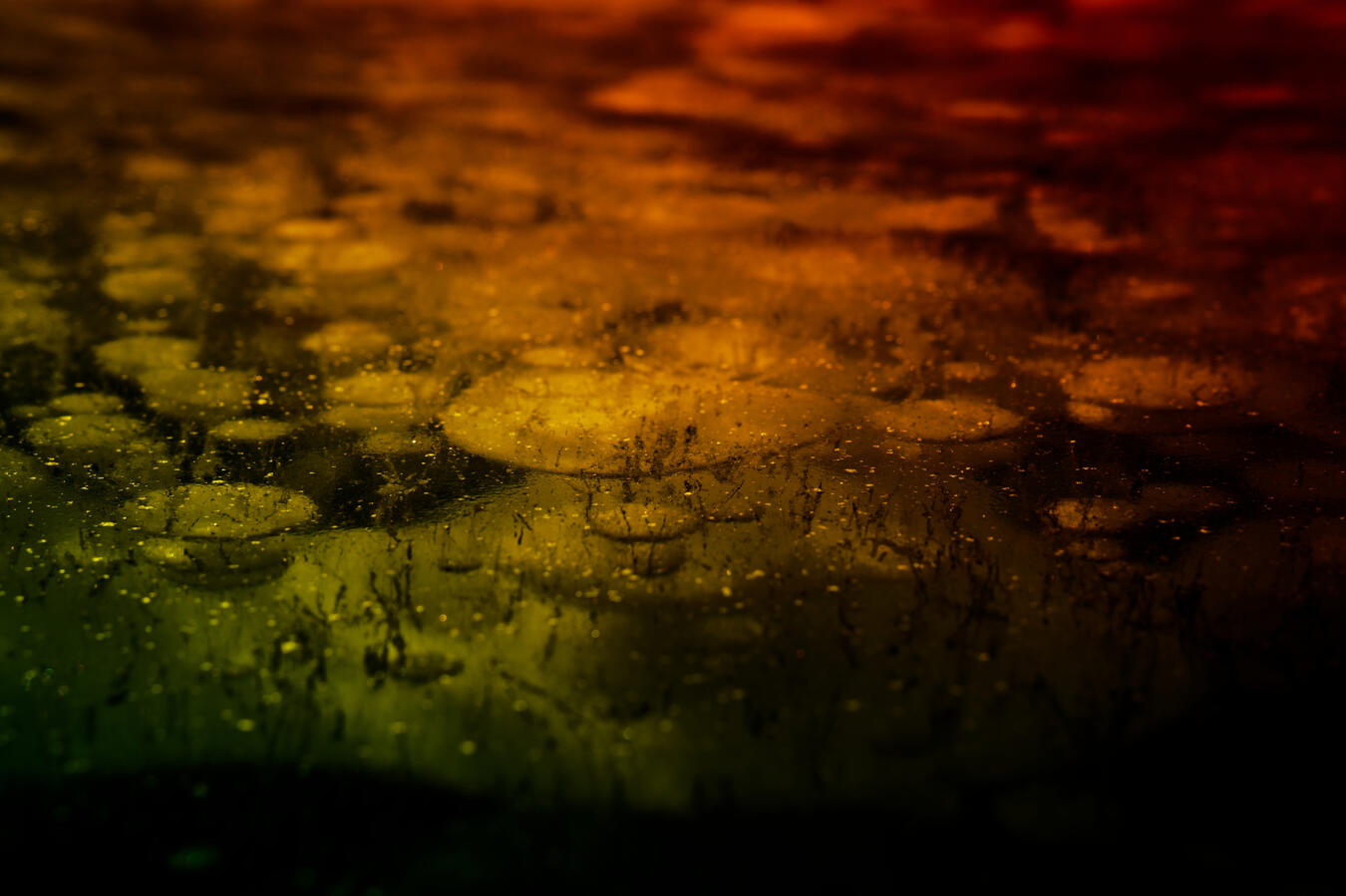 Exhibit 9. The waters are corrupted with the bloom. The source lies deep beneath the surface, far too far for this to be anything temporary, or a weak shade of blue.