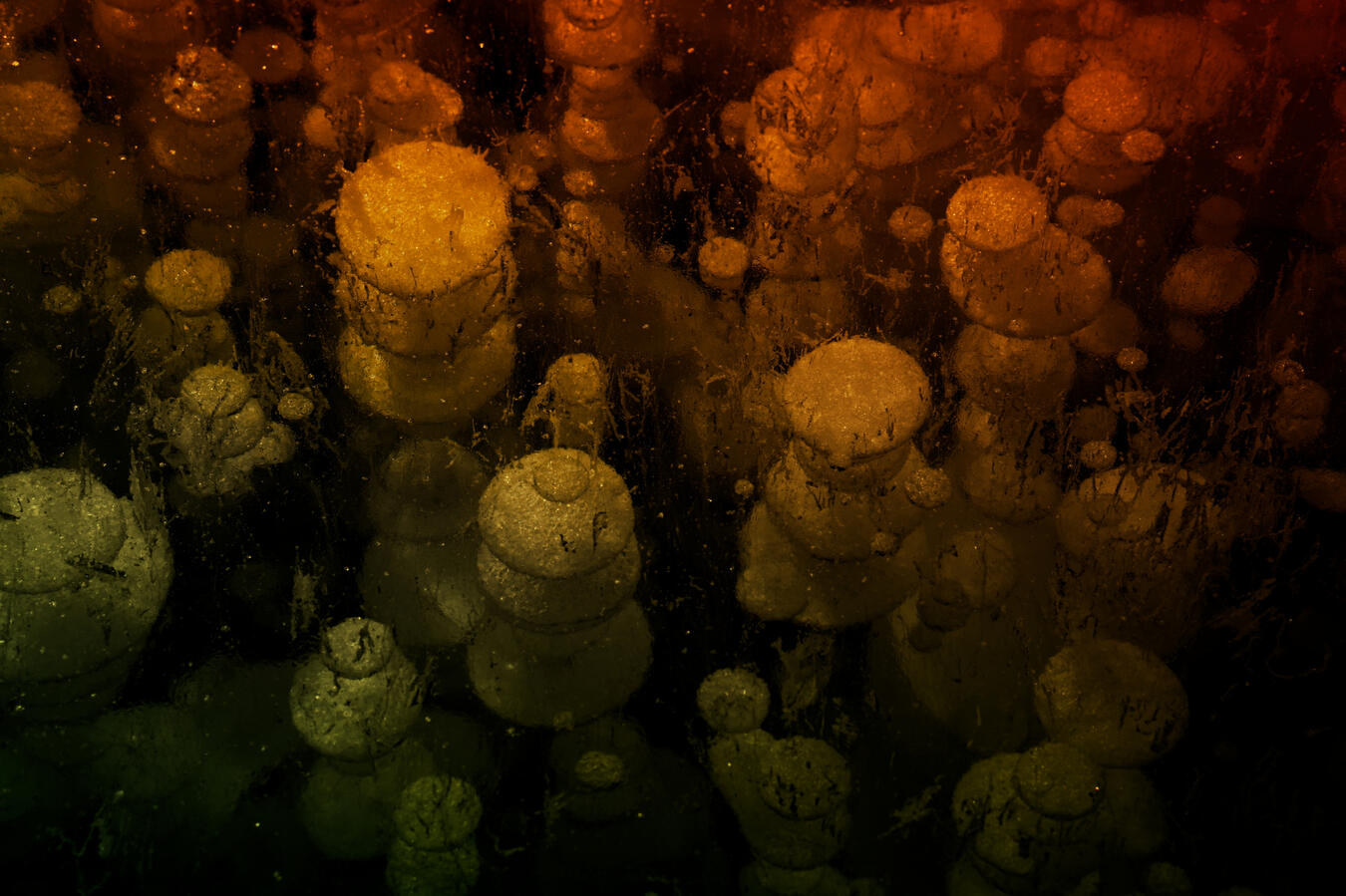 Exhibit 10. Life becomes frozen. All that made it walk before now turns to a mere shifting, a cracking.