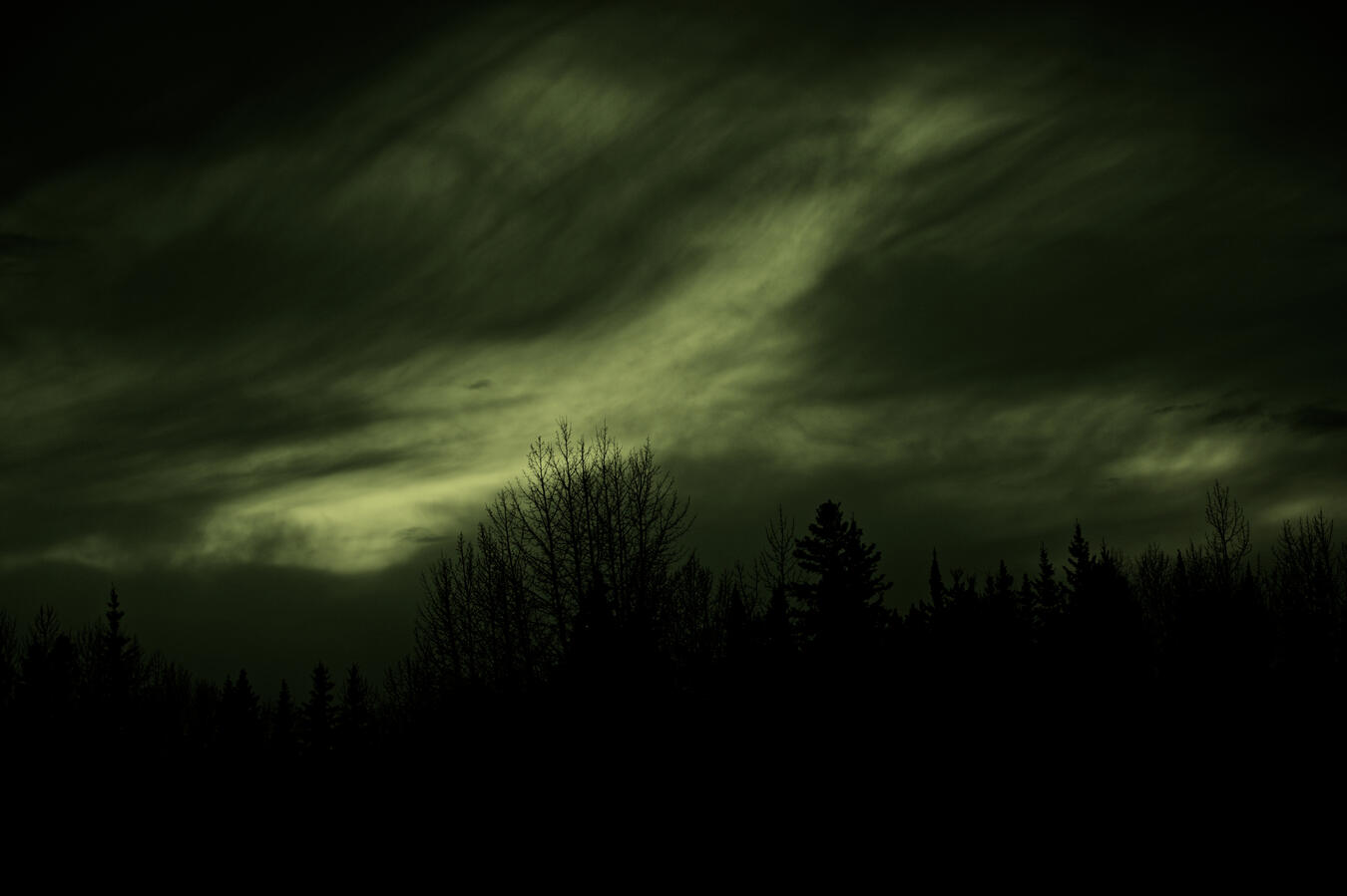 Exhibit 7. The skies are among the last to go. The clouds become tainted with what once was. The life of the trees becomes hidden in the shadow of the bloom.