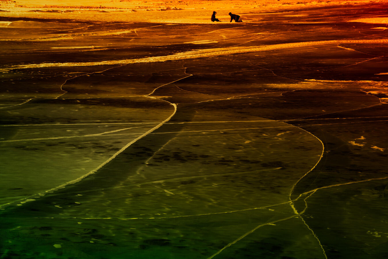 Exhibit 12. Not long after, he is running towards the bloom. They are naive, away from him. Not close, never anymore. Towards the bloom he runs, before they see him and follow, before the bloom spreads to them. Before the bloom hurts them.